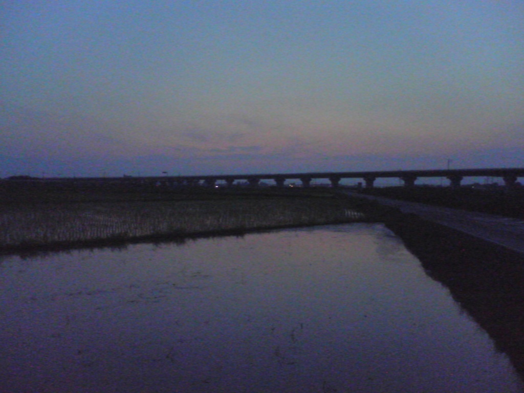 2015/07/11_水田の夕暮れ