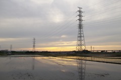 2015/05/31_水田の夕暮れ