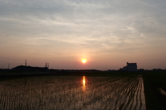 2015/07/12_水田の夕暮れ