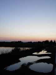2017/04/15_水溜まりと溜め池の夕暮れ