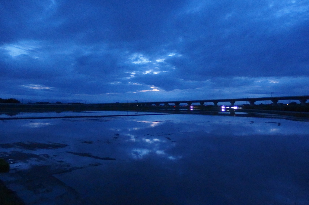 2015/06/21_水田の夕暮れ