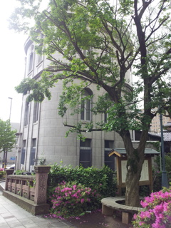 2016/05/12_枯木橋と金沢文芸館