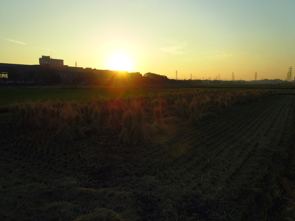 2016/10/15_田んぼの夕暮れ