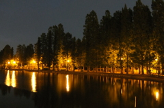 2014/05/24_夜の別所沼公園