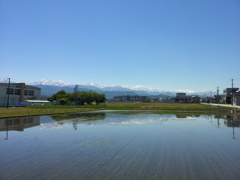 2017/05/19_水田に立山連峰