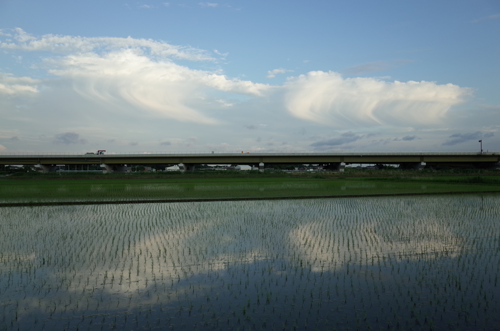 2015/06/21_水田に雲