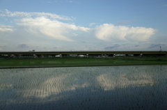 2015/06/21_水田に雲