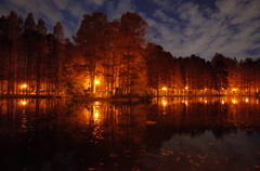 2014/12/07_夕暮れの別所沼公園