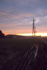 2015/06/27_水田の夕暮れ