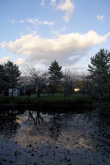 2015/11/03_岩槻城址公園