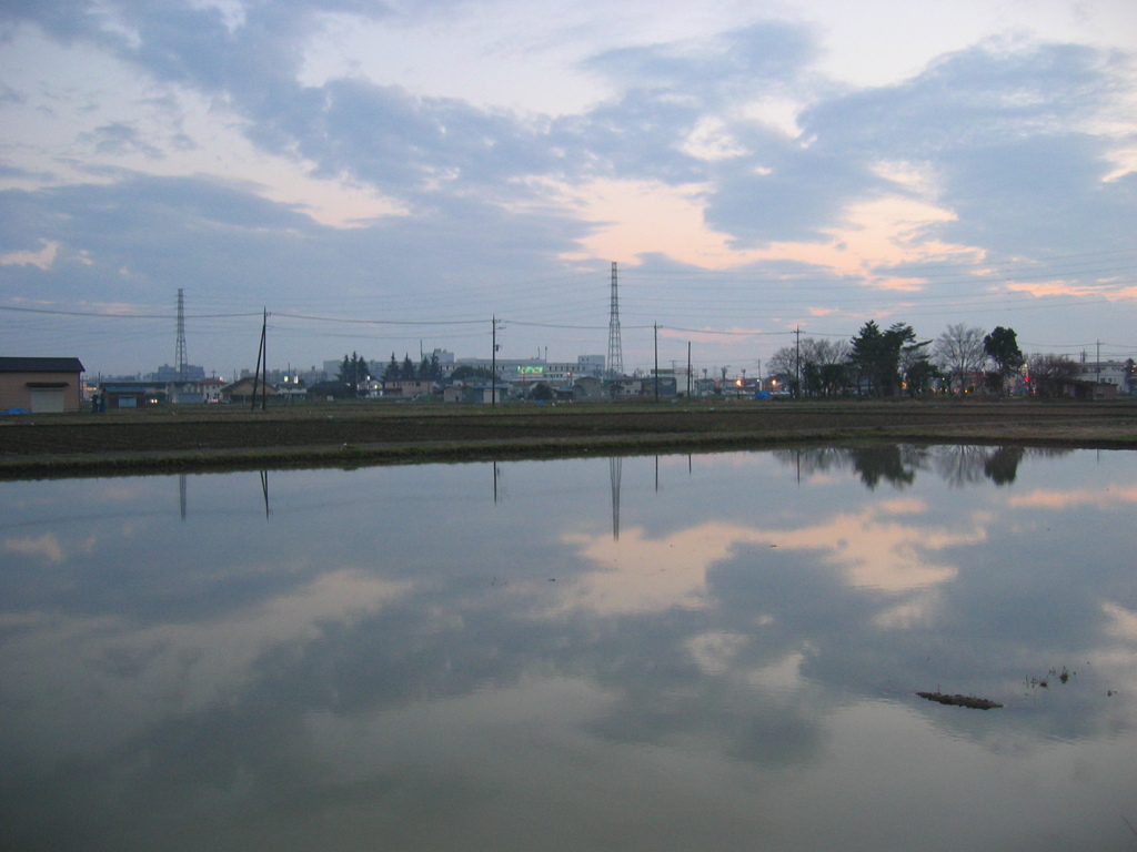 2016/03/19_水田の夕暮れ