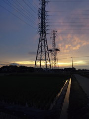 2017/06/25_水田の夕暮れ