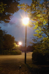 2014/09/15_夕暮れの上野公園（東京国立博物館）
