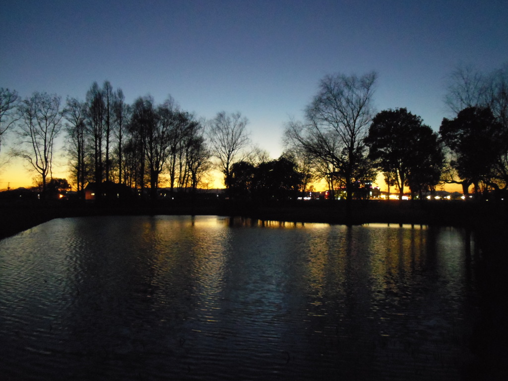2016/12/30_さきたま古墳公園の夕暮れ