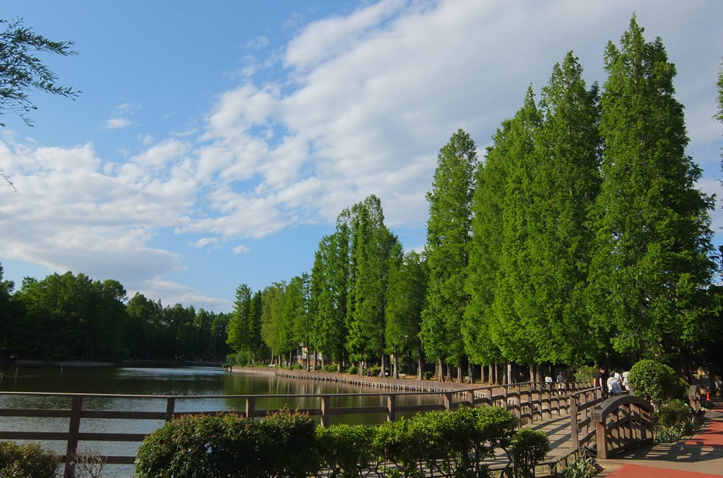 2014/05/18_別所沼公園