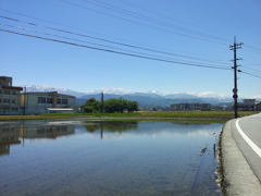 2017/05/19_水田に立山連峰