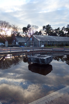 2016/01/16_農林公園 幸福の泉