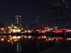 2017/04/03_夜の上野公園
