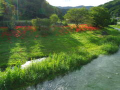 2017/09/18_槻川と彼岸花