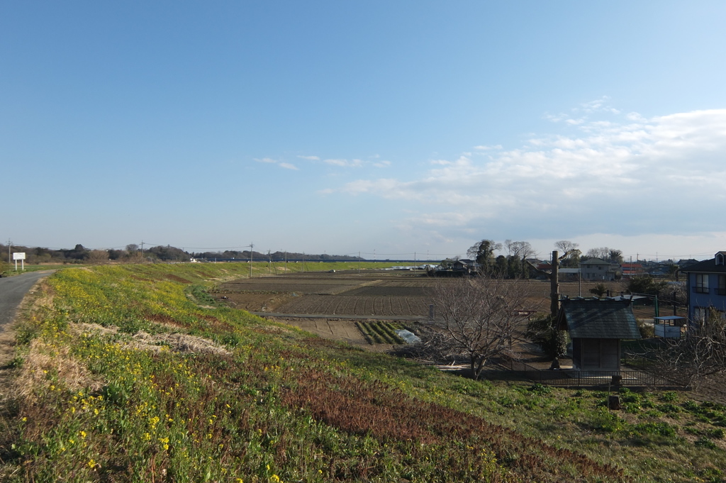 2014/03/15_堤防と神社