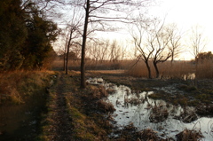 2015/02/11_ホタルの里