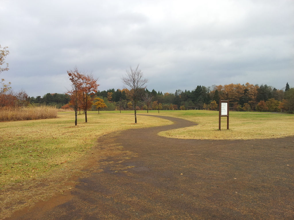 2016/11/13_三内丸山遺跡 ピクニック広場への道