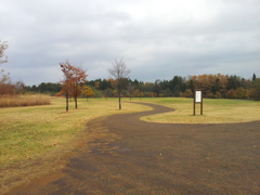 2016/11/13_三内丸山遺跡 ピクニック広場への道