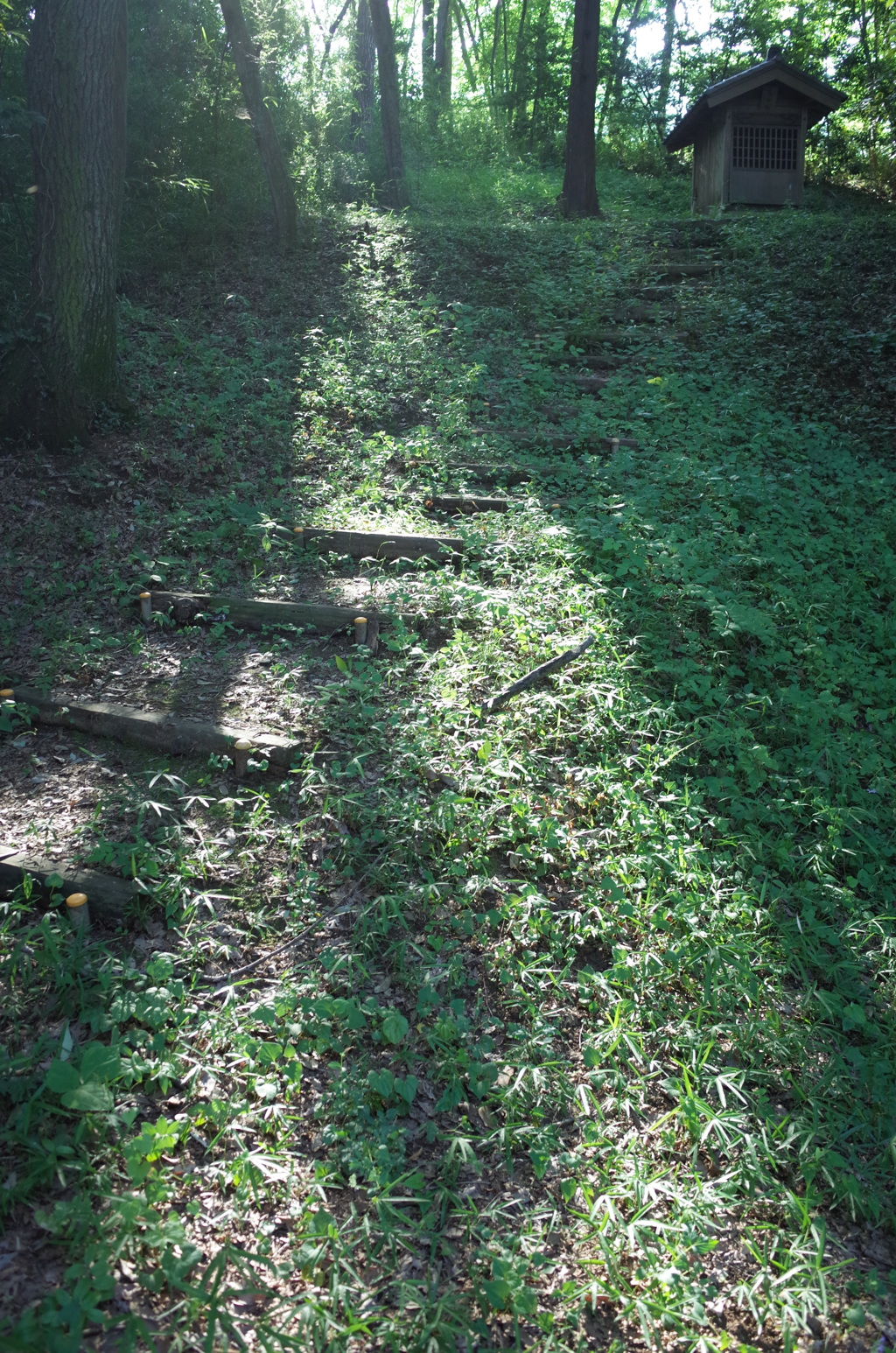 2015/07/25_比丘尼山の荒神社