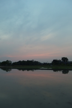 2016/05/01_水田の夕暮れ