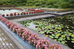 2015/08/08_水源地公園