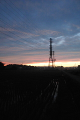 2015/06/27_水田の夕暮れ