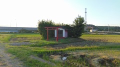 2013/09/29_田んぼの中の神社