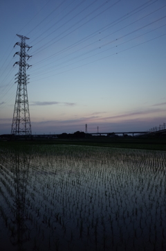 2016/06/18_水田の夕暮れ