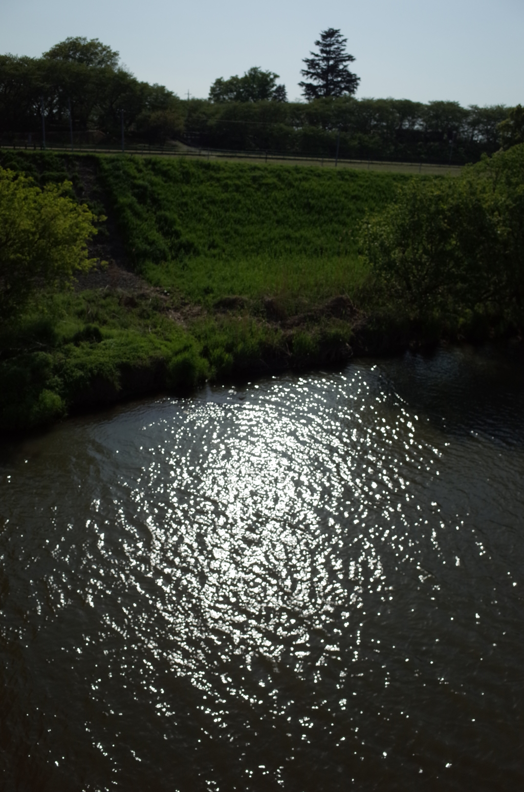 2015/04/26_光る中川