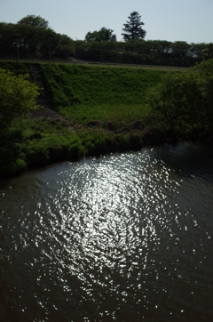 2015/04/26_光る中川