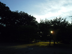 2016/07/10_竹林公園の夕暮れ