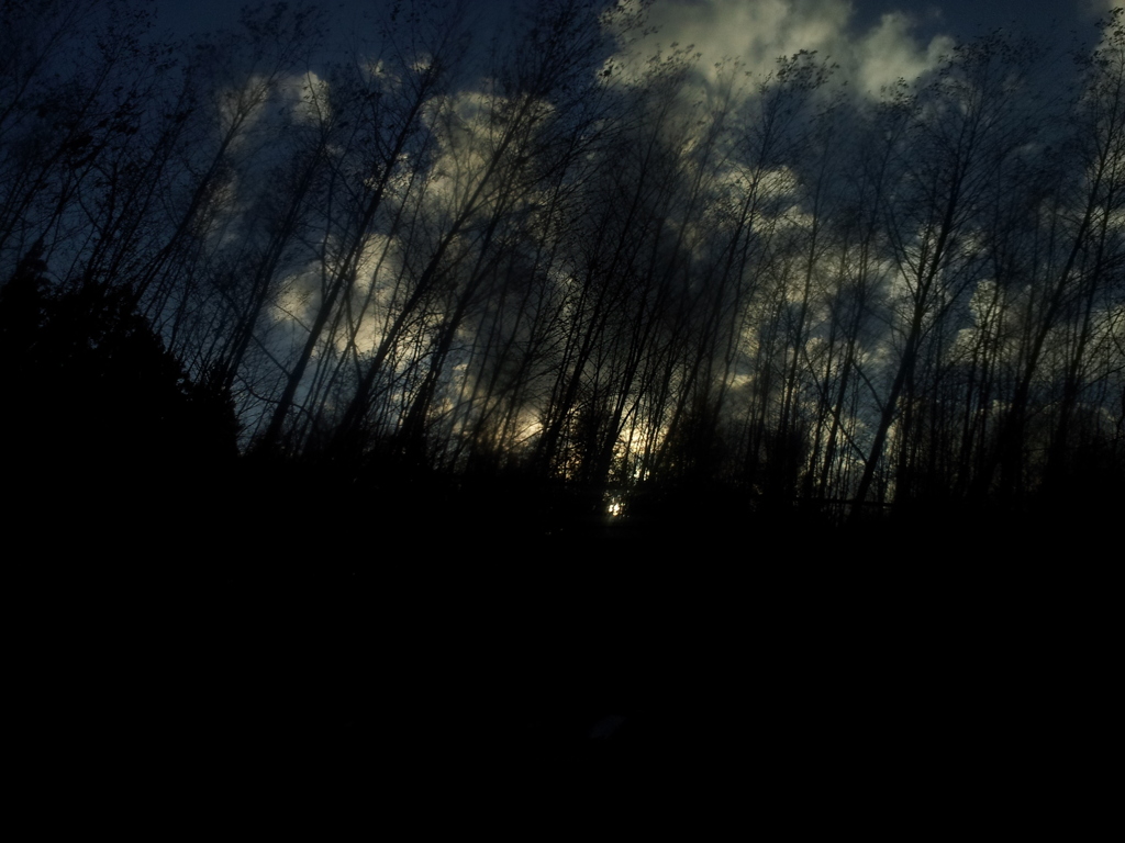 2016/11/12_東北新幹線から夕空