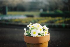 2016/03/19_花の丘農林公苑