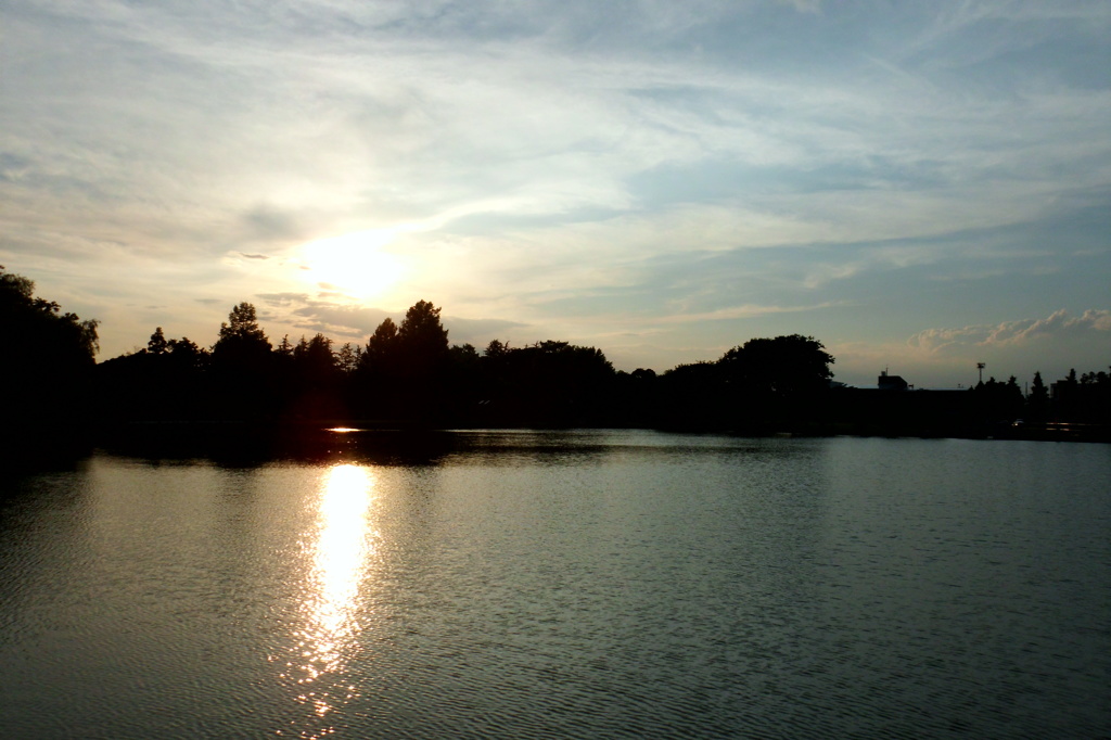2014/06/15_夕暮れのしのぶ池