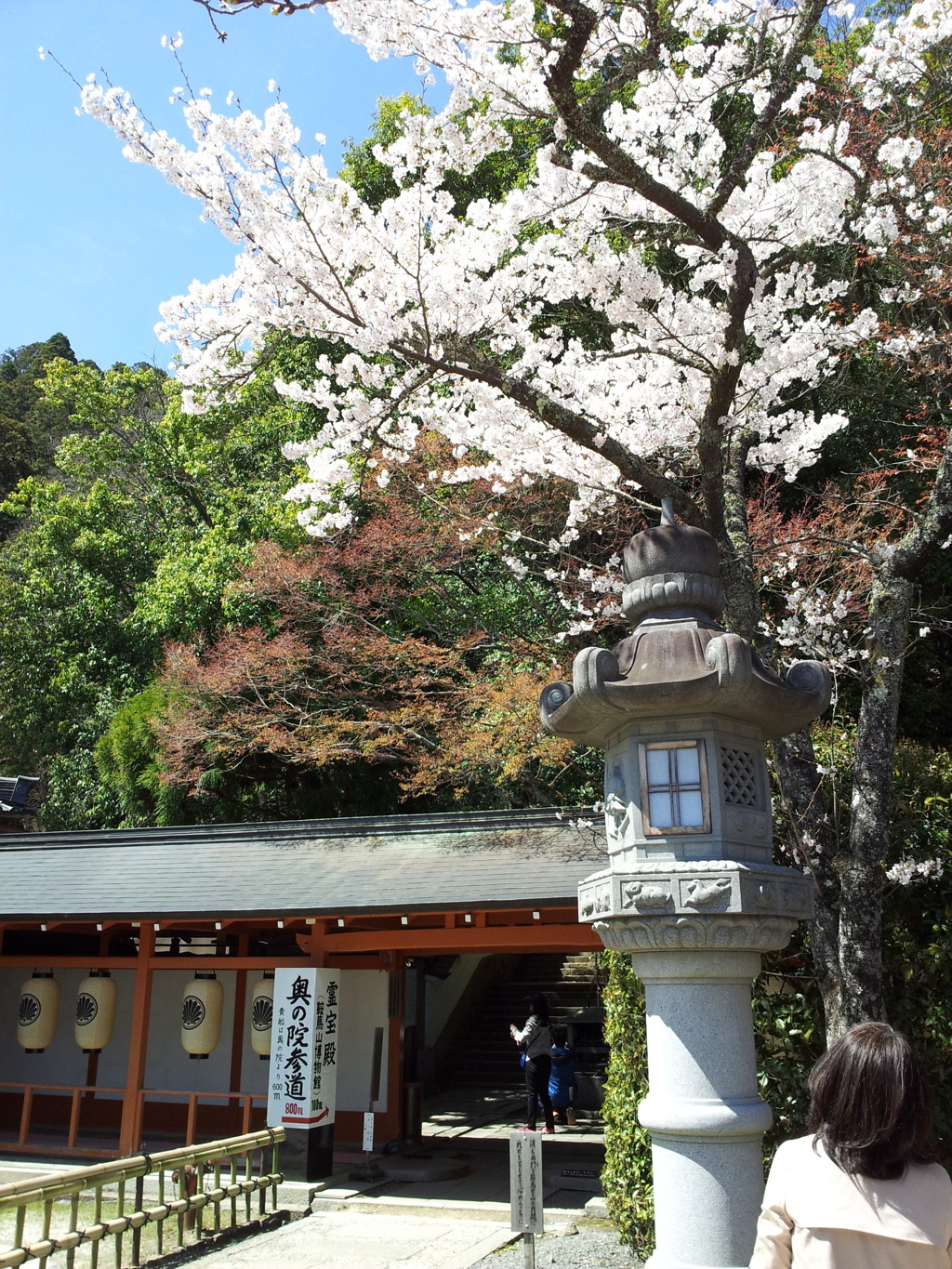 2019/04/13_鞍馬寺 桜と奥の院参道入口