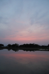 2016/05/01_水田の夕暮れ