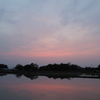 2016/05/01_水田の夕暮れ