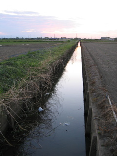 2017/05/04_用水路の夕暮れ