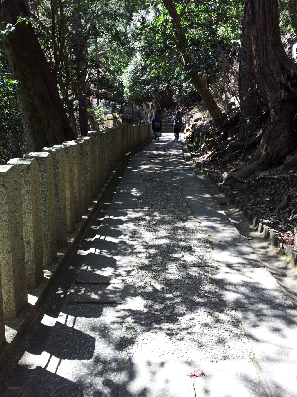 2019/04/13_鞍馬寺 奥の院参道