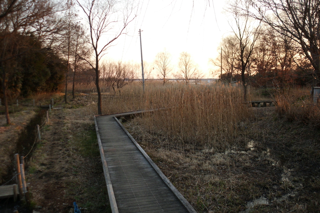 2015/02/11_ホタルの里