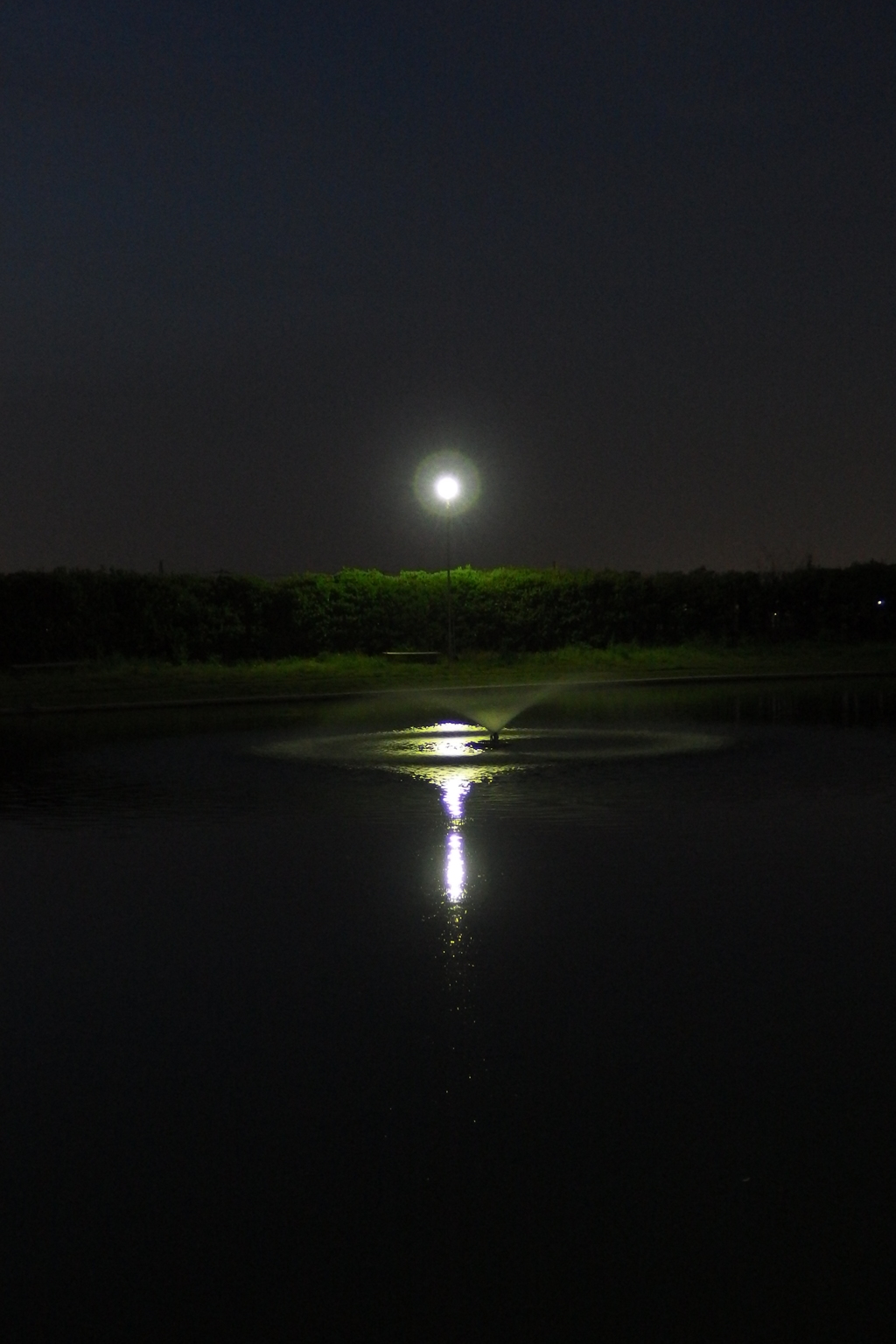 2016/04/10_夜の川里中央公園