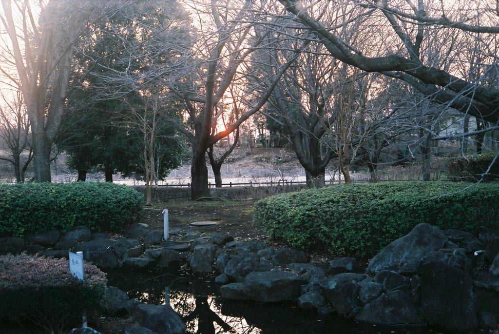 2016/02/27_花の丘農林公苑の夕暮れ