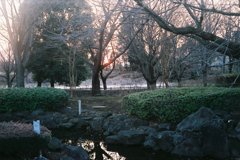 2016/02/27_花の丘農林公苑の夕暮れ