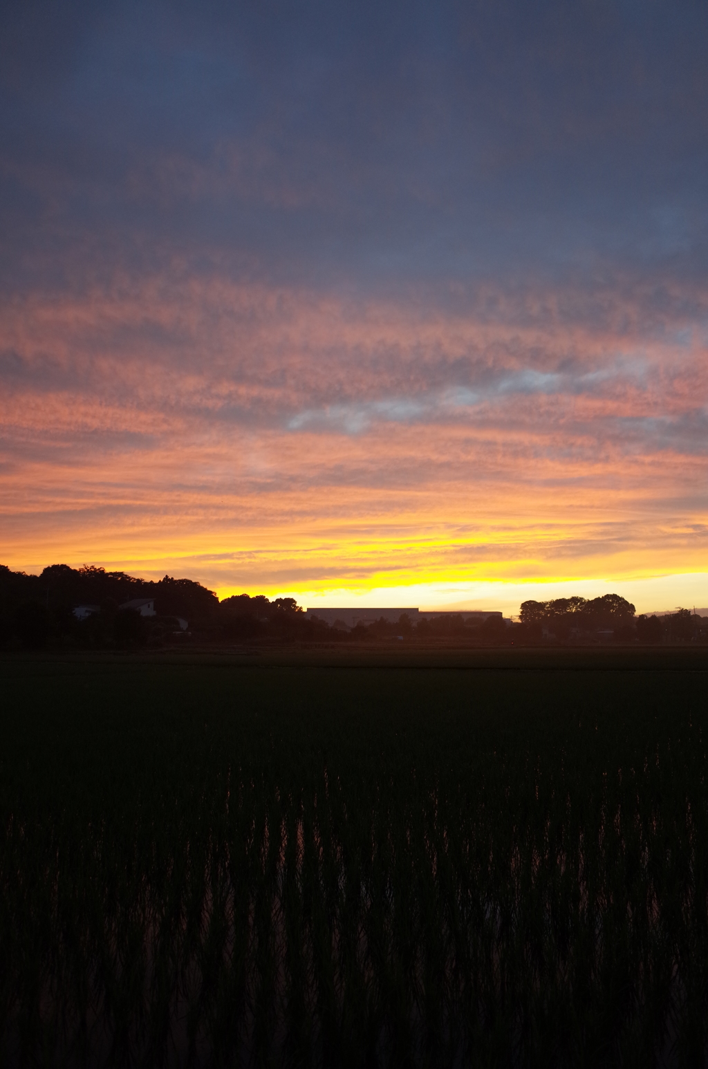 2015/06/27_夕暮れ