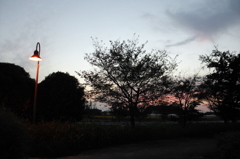 2015/10/03_夕暮れ